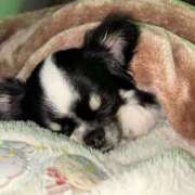 ヒメ日記 2024/12/21 12:13 投稿 りく ニューティアラ