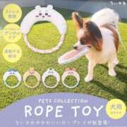 ヒメ日記 2025/02/21 20:54 投稿 りく ニューティアラ