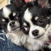 ヒメ日記 2025/02/28 14:29 投稿 りく ニューティアラ