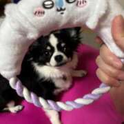 ヒメ日記 2025/04/04 23:14 投稿 りく ニューティアラ