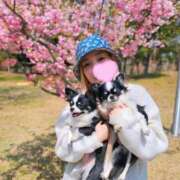 ヒメ日記 2025/04/08 11:31 投稿 りく ニューティアラ