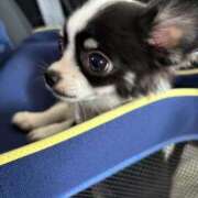 ヒメ日記 2025/06/04 16:22 投稿 りく ニューティアラ