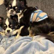 ヒメ日記 2025/07/03 16:29 投稿 りく ニューティアラ