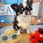 ヒメ日記 2025/07/19 18:06 投稿 りく ニューティアラ