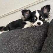 ヒメ日記 2025/08/03 18:31 投稿 りく ニューティアラ