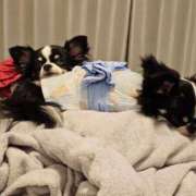 ヒメ日記 2025/08/20 18:58 投稿 りく ニューティアラ