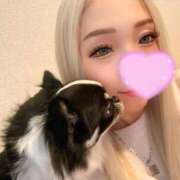 ヒメ日記 2025/10/27 17:12 投稿 りく ニューティアラ