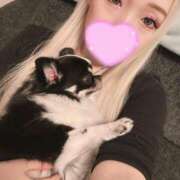 ヒメ日記 2025/11/13 16:12 投稿 りく ニューティアラ