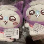 ヒメ日記 2025/12/19 16:35 投稿 りく ニューティアラ