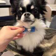 ヒメ日記 2026/03/12 18:31 投稿 りく ニューティアラ