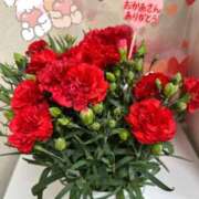 ヒメ日記 2025/05/11 16:59 投稿 桜井四季 彩タマンサ（埼玉ハレ系）