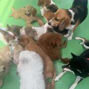 ヒメ日記 2025/08/30 13:32 投稿 桜井四季 彩タマンサ（埼玉ハレ系）