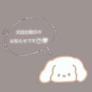 ヒメ日記 2025/02/20 11:50 投稿 さくら 福盛