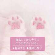 ヒメ日記 2025/03/04 16:00 投稿 さくら 福盛