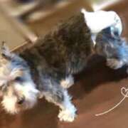 ヒメ日記 2025/04/10 12:20 投稿 さくら 福盛