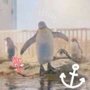 ヒメ日記 2025/07/19 11:50 投稿 さくら 福盛