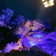 ヒメ日記 2025/07/20 12:10 投稿 さくら 福盛