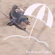 ヒメ日記 2025/08/02 11:40 投稿 さくら 福盛