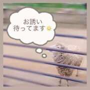 ヒメ日記 2025/08/14 12:50 投稿 さくら 福盛