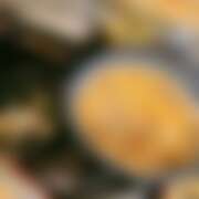 ヒメ日記 2025/11/13 12:03 投稿 さくら 福盛