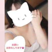 ヒメ日記 2026/01/08 12:23 投稿 さくら 福盛