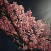 さくら 残り１枠です🗣️🤍 福盛