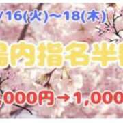 ヒメ日記 2024/04/18 12:01 投稿 くみ 桜フェアリーテイル