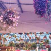 ヒメ日記 2025/02/04 14:11 投稿 ゆうみ 渋谷じゃっくす