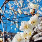 ヒメ日記 2025/03/02 20:26 投稿 ゆうみ 渋谷じゃっくす