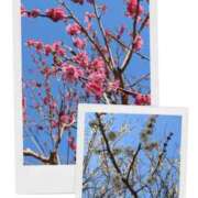 ゆうみ 星の数を鵜呑みにしない 渋谷じゃっくす