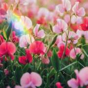 ヒメ日記 2026/03/09 03:09 投稿 ゆうみ 渋谷じゃっくす