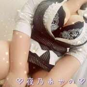 ヒメ日記 2024/12/12 01:20 投稿 夜乃～YANO～ BBW名古屋店