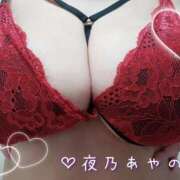 ヒメ日記 2024/12/17 00:00 投稿 夜乃～YANO～ BBW名古屋店