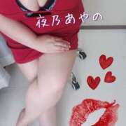 ヒメ日記 2024/12/19 00:00 投稿 夜乃～YANO～ BBW名古屋店