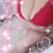 ヒメ日記 2024/12/30 09:20 投稿 夜乃～YANO～ BBW名古屋店