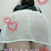 ヒメ日記 2024/12/31 08:40 投稿 夜乃～YANO～ BBW名古屋店