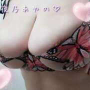 ヒメ日記 2025/01/11 14:20 投稿 夜乃～YANO～ BBW名古屋店