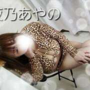 ヒメ日記 2025/01/21 00:30 投稿 夜乃～YANO～ BBW名古屋店