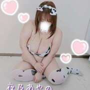 ヒメ日記 2025/01/24 10:40 投稿 夜乃～YANO～ BBW名古屋店