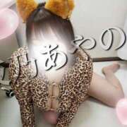 ヒメ日記 2025/01/26 08:00 投稿 夜乃～YANO～ BBW名古屋店