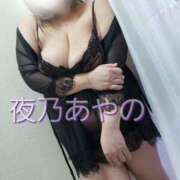 ヒメ日記 2025/02/14 10:20 投稿 夜乃～YANO～ BBW名古屋店