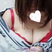 ヒメ日記 2025/02/21 12:50 投稿 夜乃～YANO～ BBW名古屋店