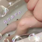 ヒメ日記 2025/02/23 07:20 投稿 夜乃～YANO～ BBW名古屋店