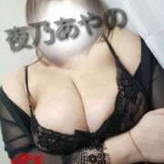 ヒメ日記 2025/02/26 06:20 投稿 夜乃～YANO～ BBW名古屋店