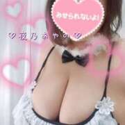 ヒメ日記 2025/03/15 15:04 投稿 夜乃～YANO～ BBW名古屋店