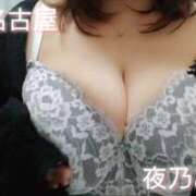 ヒメ日記 2025/03/28 07:50 投稿 夜乃～YANO～ BBW名古屋店