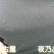 ヒメ日記 2025/04/03 07:50 投稿 夜乃～YANO～ BBW名古屋店