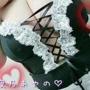 ヒメ日記 2025/05/22 01:20 投稿 夜乃～YANO～ BBW名古屋店