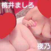 ヒメ日記 2025/08/07 10:20 投稿 夜乃～YANO～ BBW名古屋店