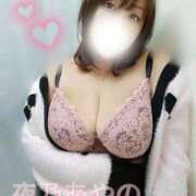 ヒメ日記 2025/10/28 07:00 投稿 夜乃～YANO～ BBW名古屋店